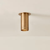 Berger Flush Mount Ceiling Light in Patina Brass