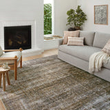 Amber Lewis x Loloi Billie Tobacco / Rust Rug