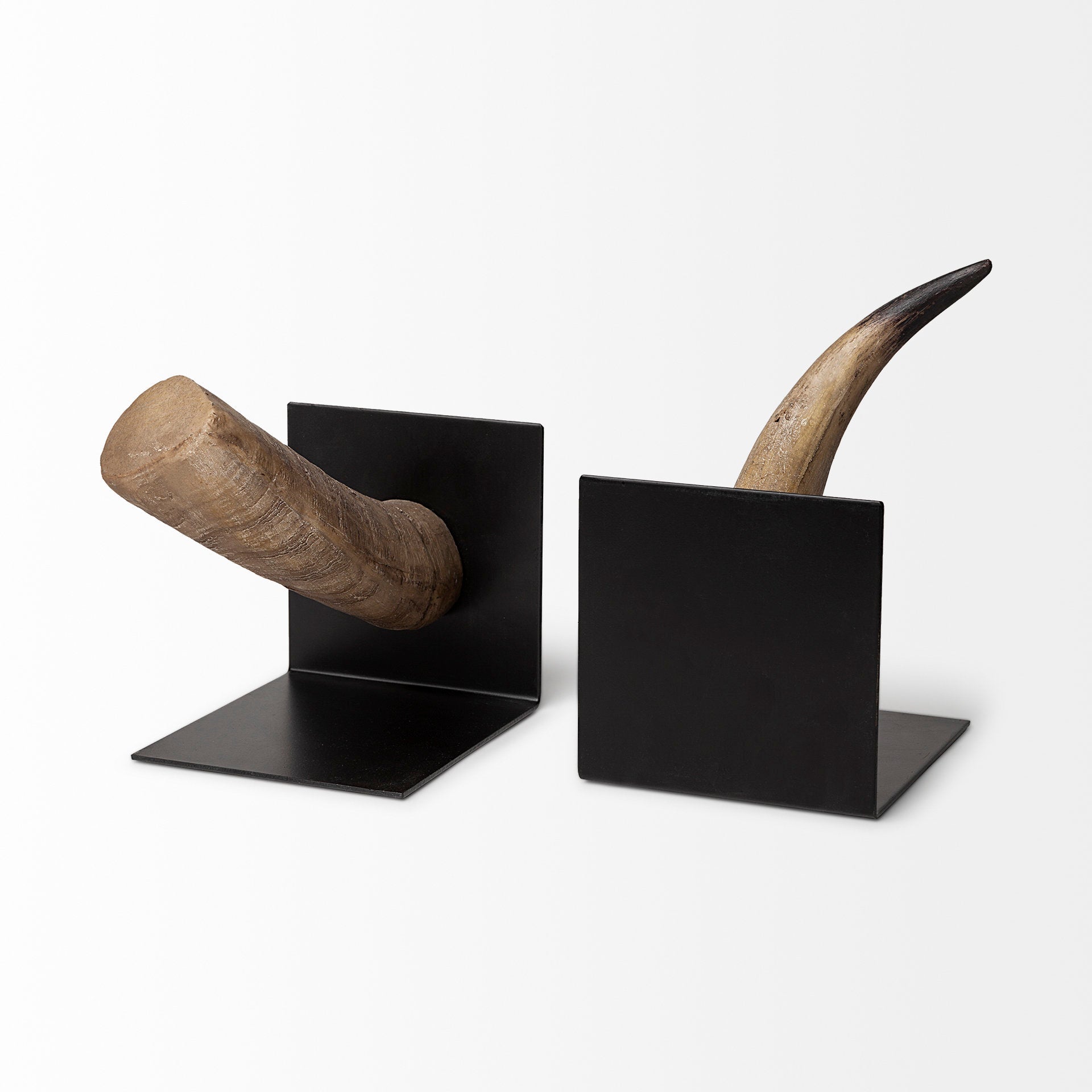 Bullish Book Ends, Set of 2