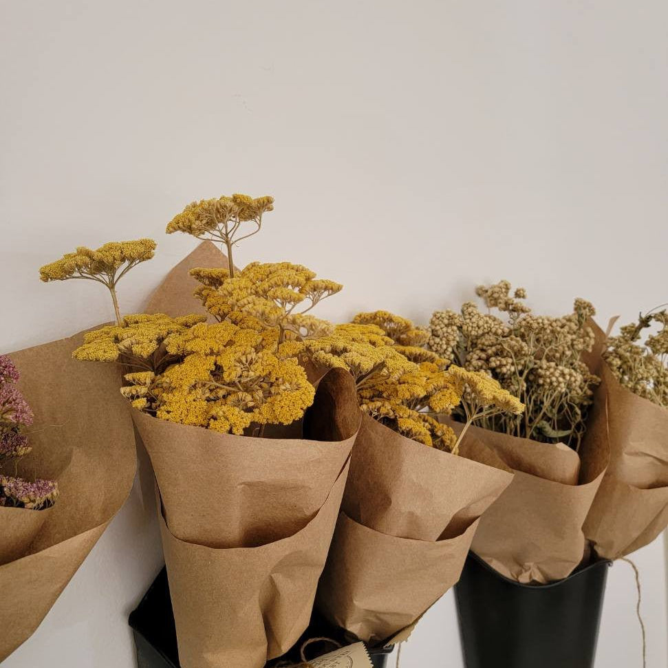 Natural Dried Floral Stems Bunch (Multiple Options)