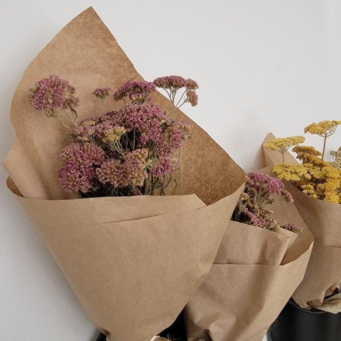 Natural Dried Floral Stems Bunch (Multiple Options)