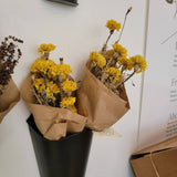 Natural Dried Floral Stems Bunch (Multiple Options)