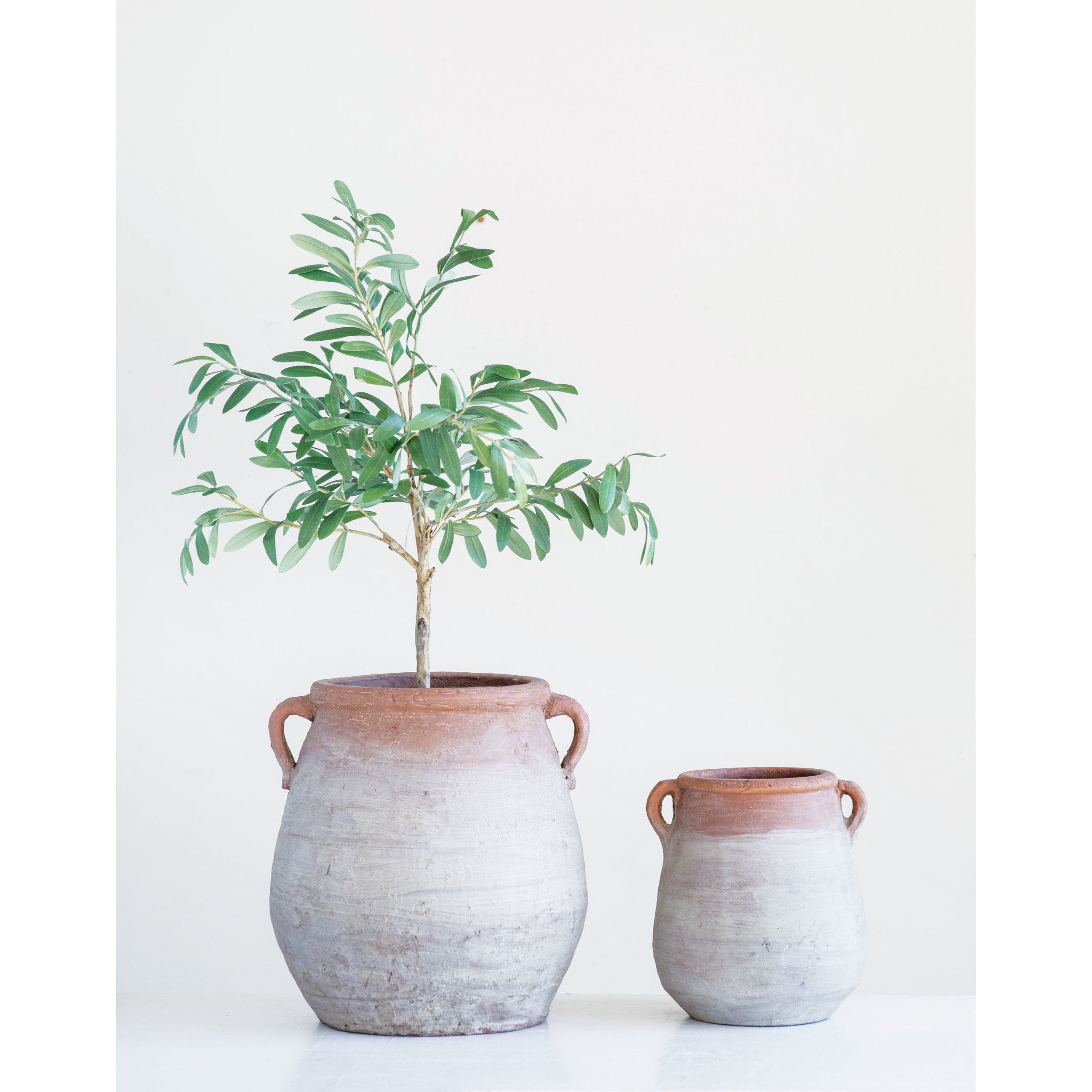 Large Terracotta Urn with Whitewash Finish