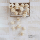 Dried Natural Spinny Flower Garland