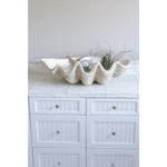 Magnesia Seashell Decor