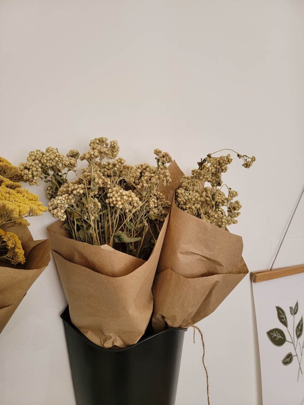 Natural Dried Floral Stems Bunch (Multiple Options)