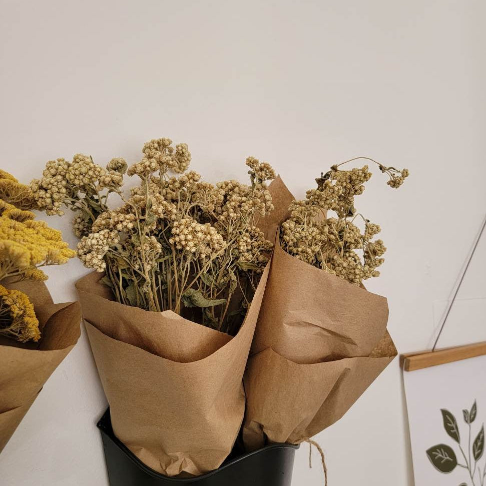 Natural Dried Floral Stems Bunch (Multiple Options)