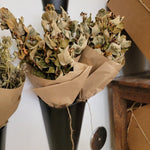 Natural Dried Floral Stems Bunch (Multiple Options)