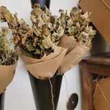 Natural Dried Floral Stems Bunch (Multiple Options)