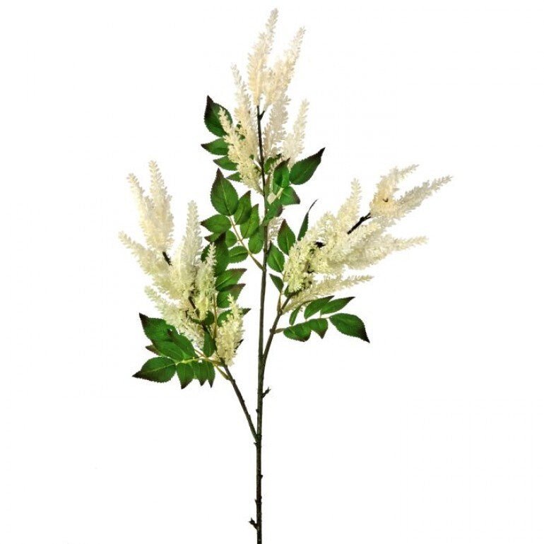 Green Cream Astilbe Spray