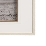 Horseplay Framed Wall Photograph