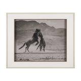 Horseplay Framed Wall Photograph