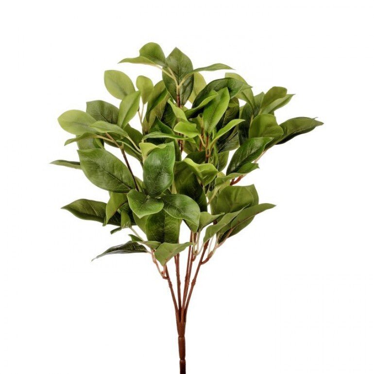 LAUREL GREEN LEAF BUSH 16"