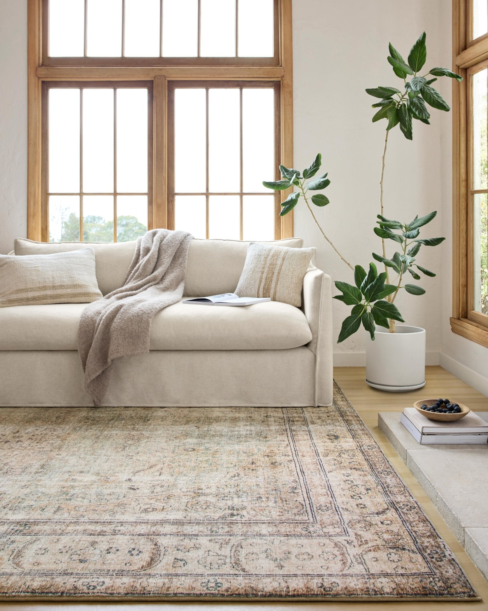 Loloi II Margot Antique / Sage Rug