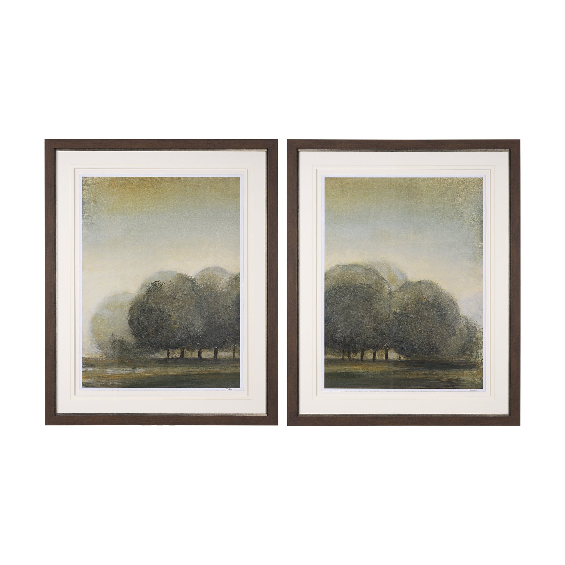 Park View Framed Wall Art, Set of 2