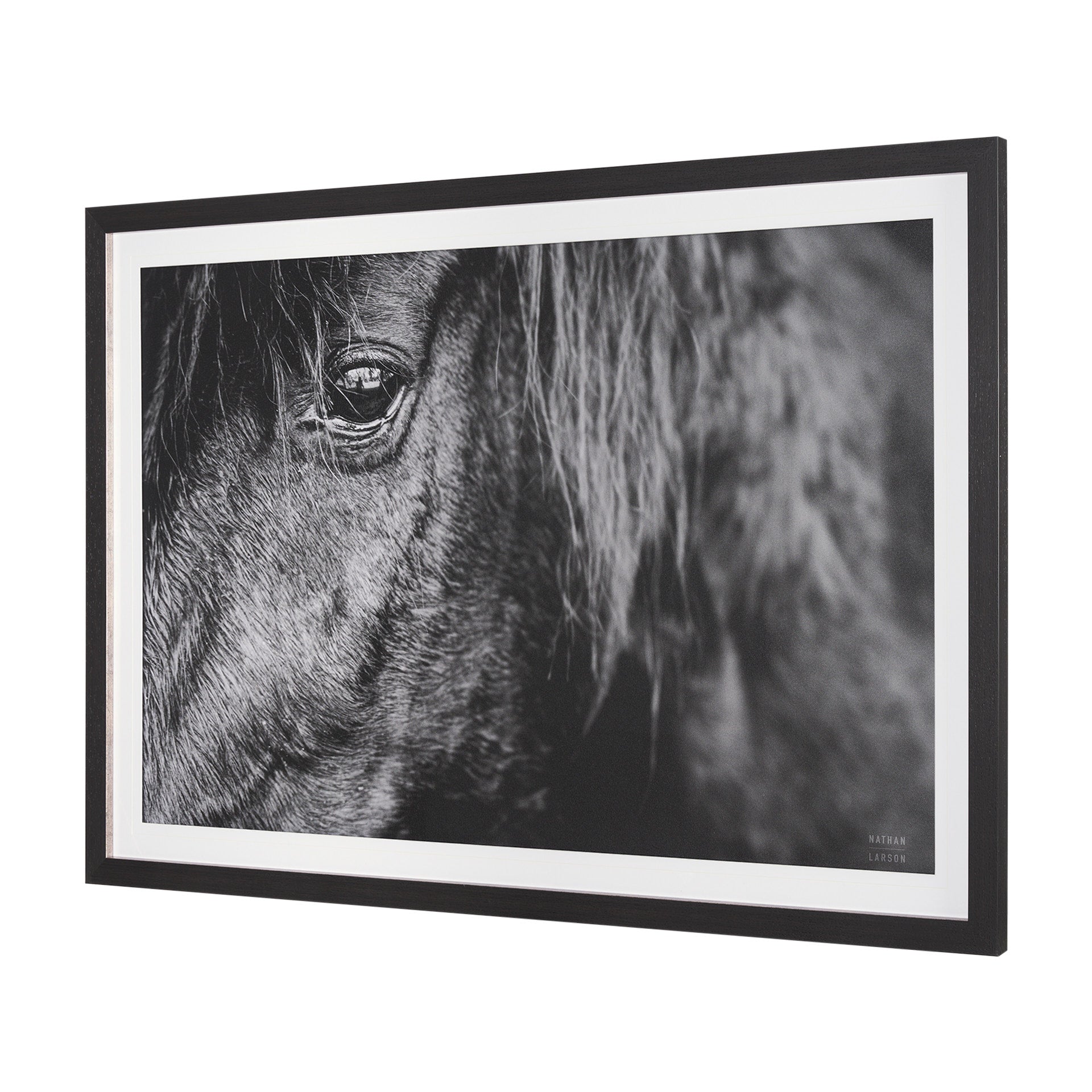 Watchful Framed Wall Photograph