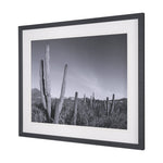 Wild West Cacti Framed Wall Photograph